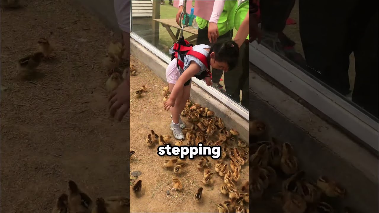 This Girl Adopted A Baby Chick 
