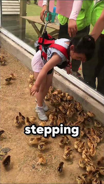 This girl adopted a baby chick 🐣👧❤️