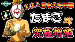 1.2.1究極増殖が更に簡略化！卵だけで無限増殖【ティアキン TotK】裏技 バグ 検証 ゆっくり実況 glitch