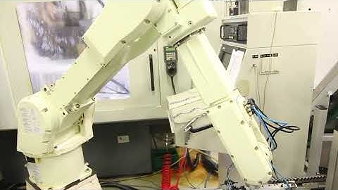 DataLyzer International