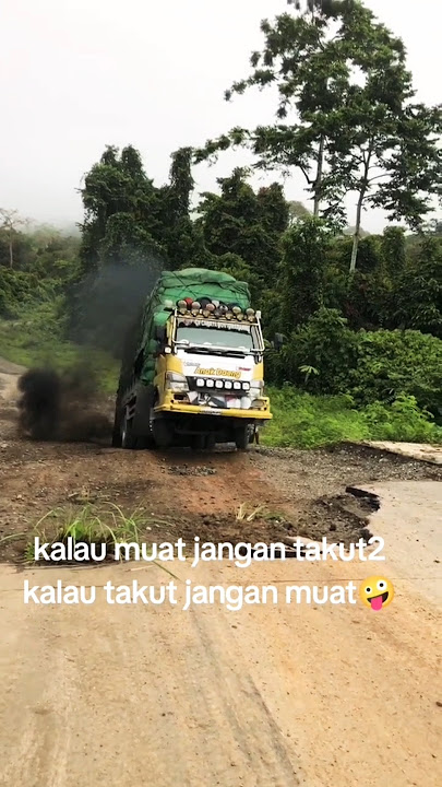 truck Sulawesi style papua #sopirtruck #automobile #supirtrukbernyalibesar