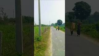 #KhetiKhajana #VillageLife #GreenField #MorningView #Farming