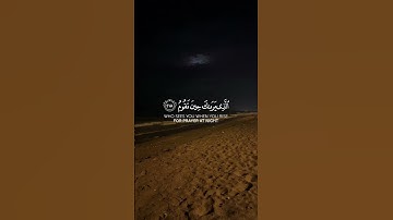 وَتَوَكَّلْ عَلَى الْعَزِيزِ الرَّحِيمِ...} #وديع_اليمني #سورة_الشعراء