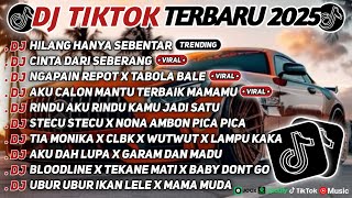 DJ TIKTOK TERBARU 2025 SLOW BASS 🎵DJ HILANG HANYA SEBENTAR🎵 DJ CINTA DARI SEBERANG🎵
