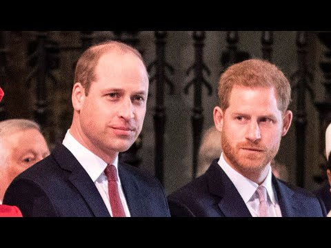 Prince Harry claims his brother screamed at him | Harry and Meghan Netflix docuseries