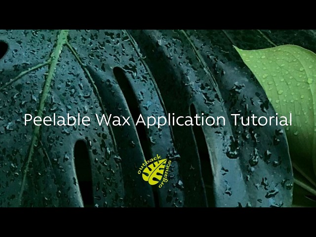 Peelable Wax Application Tutorial - YouTube