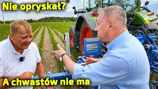 Pokaz pielnika Carre [Korbanek]
