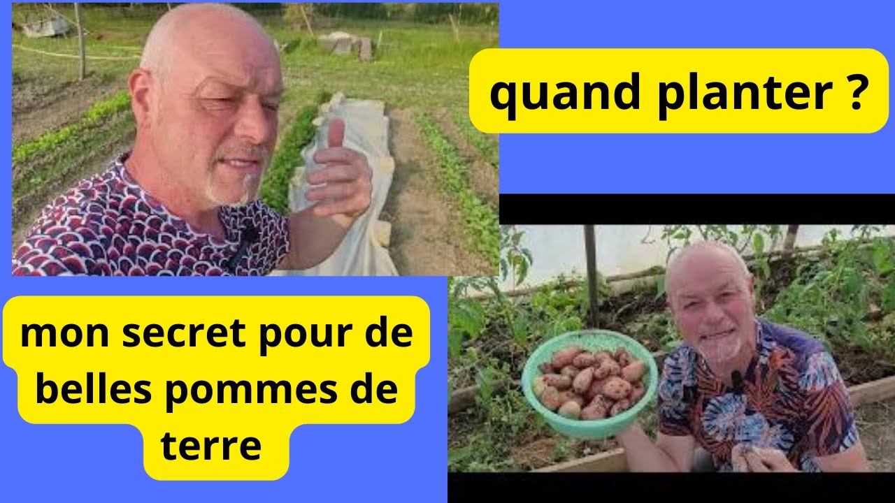 Je vous dit mon secret pour avoir de la belle pomme de terre nouvelle
