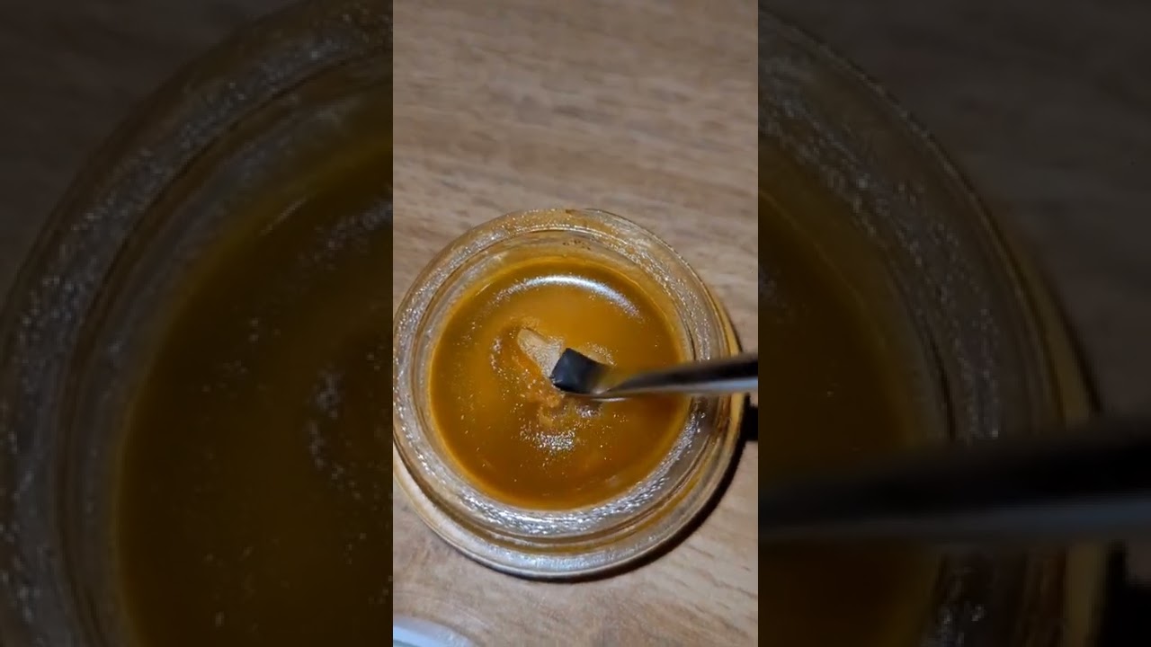 big bong rips 