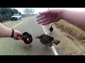 Police Officer has HILARIOUS Wild Turkey encounter