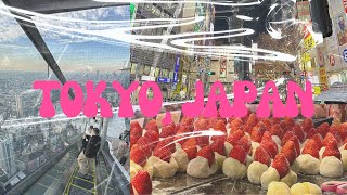 TOKYO TRAVEL VLOG | Tsukiji Fish Market, Street Karting, Shibuya Sky, and good eats