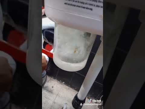 كلب اتحدي سيدو مش هيسندل مزين مصر
