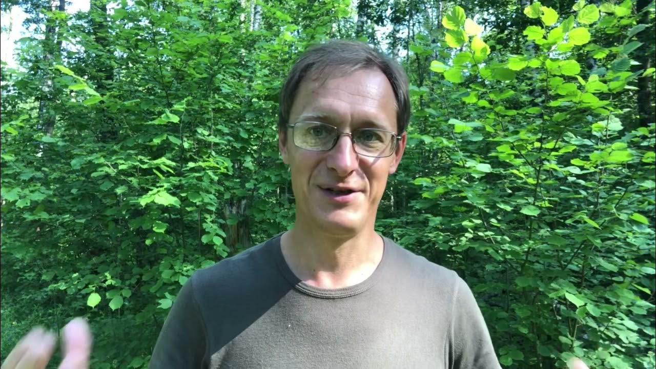 Хозяева ютуб. Хозяева ютуб