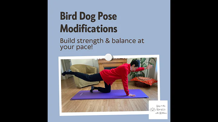 Bird Dog Pose Modifications