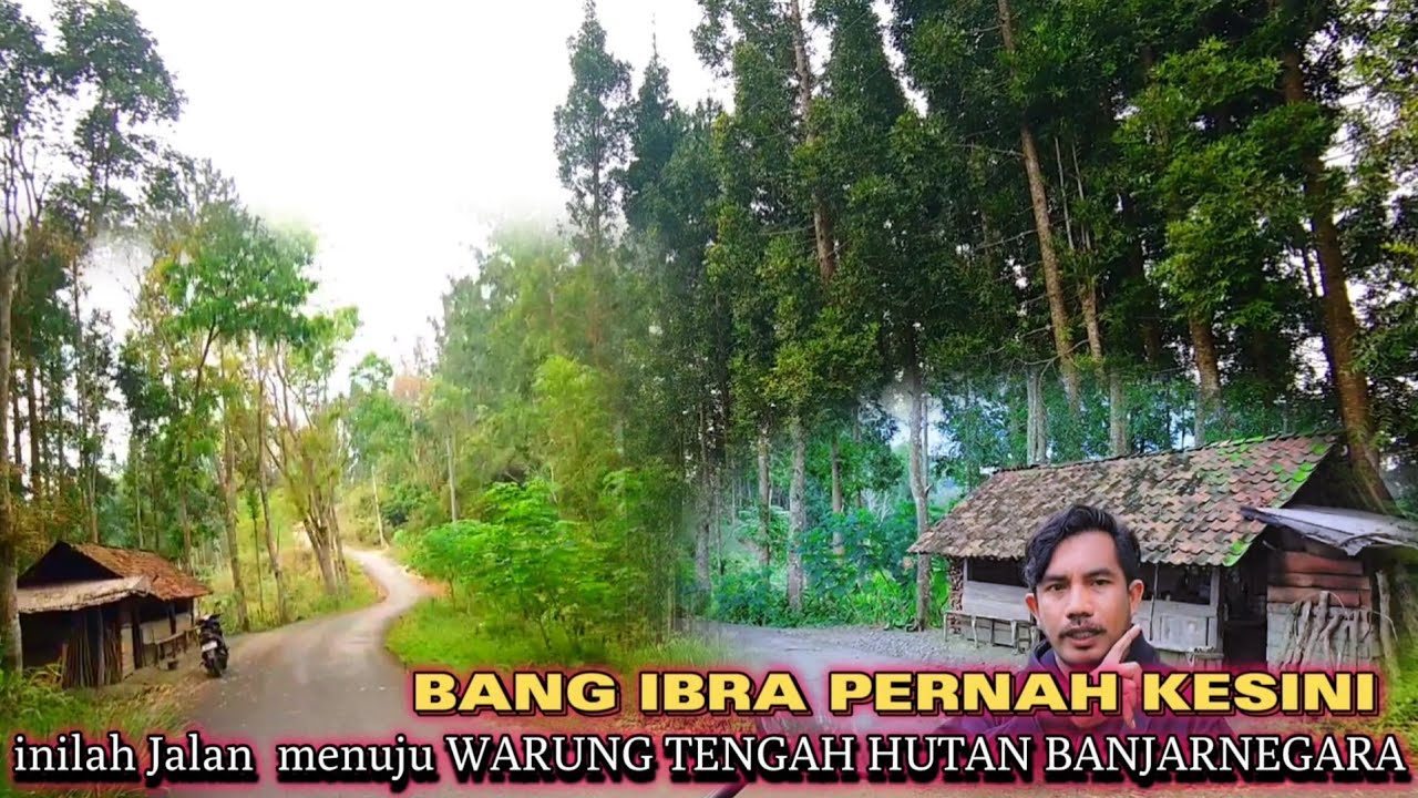 JEJAK BANG IBRA pernah ke sini ‼️ Ternyata WARUNG VIRAL ini benar benar sendirian di TENGAH HUTAN