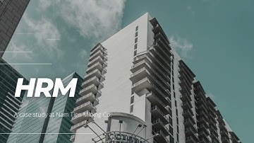 HR System Development Theories & Practices | A case study at a mining company