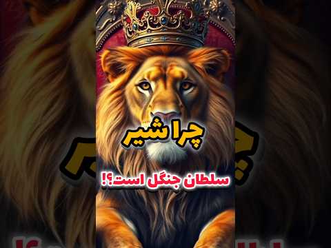 شیر سلطان جنگل چرا شیر سلطان جنگل هست ولی ببر نه