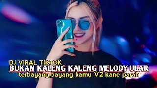 DJ BUKAN KALENG KALENG KANE MELODY ULAR V2 || VIRAL TIKTOK 2024