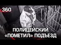 Помочился на камеру: полицейский из Красноярска справил нужду в подъезде жилого дома