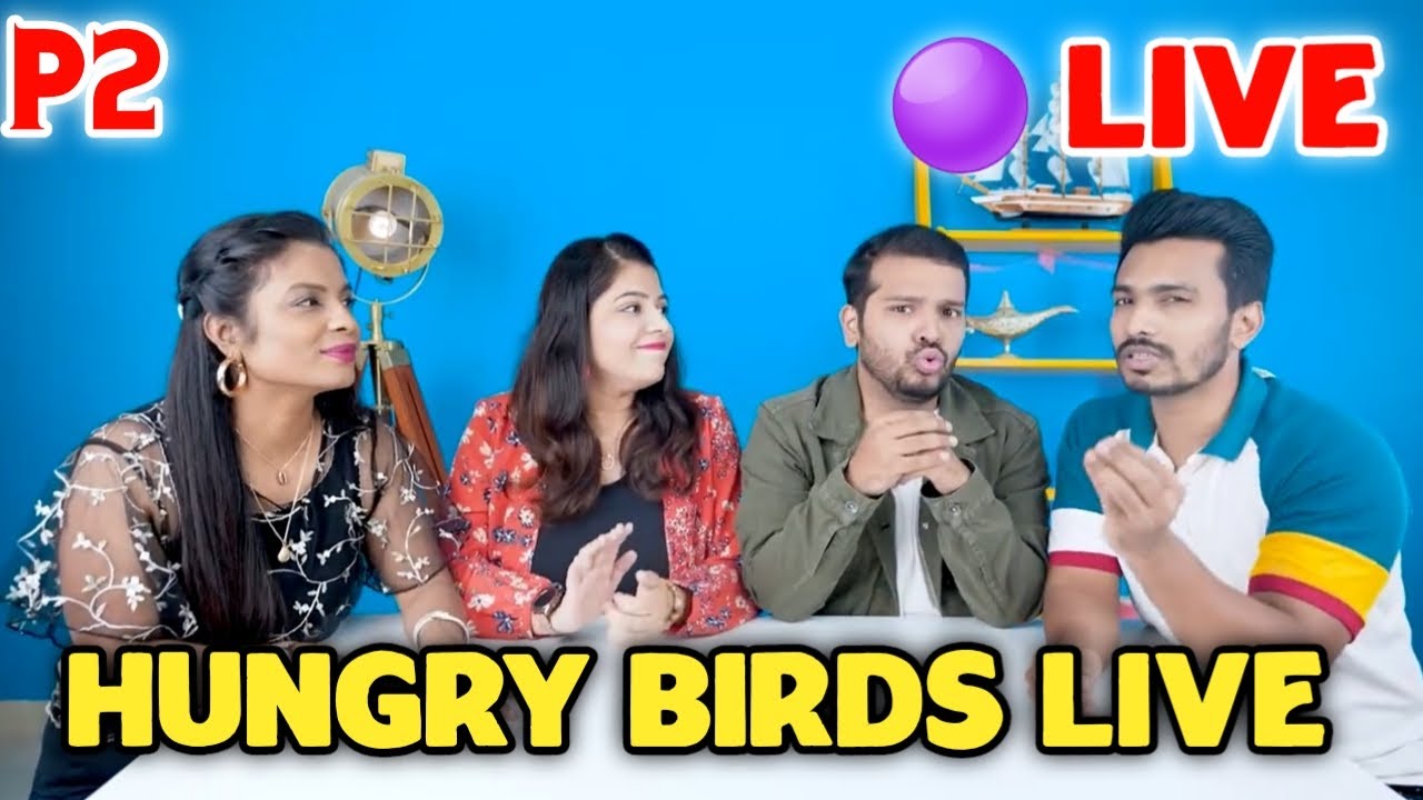 Hungry Birds live part 2 Hungry birds Live Hungry birds inside