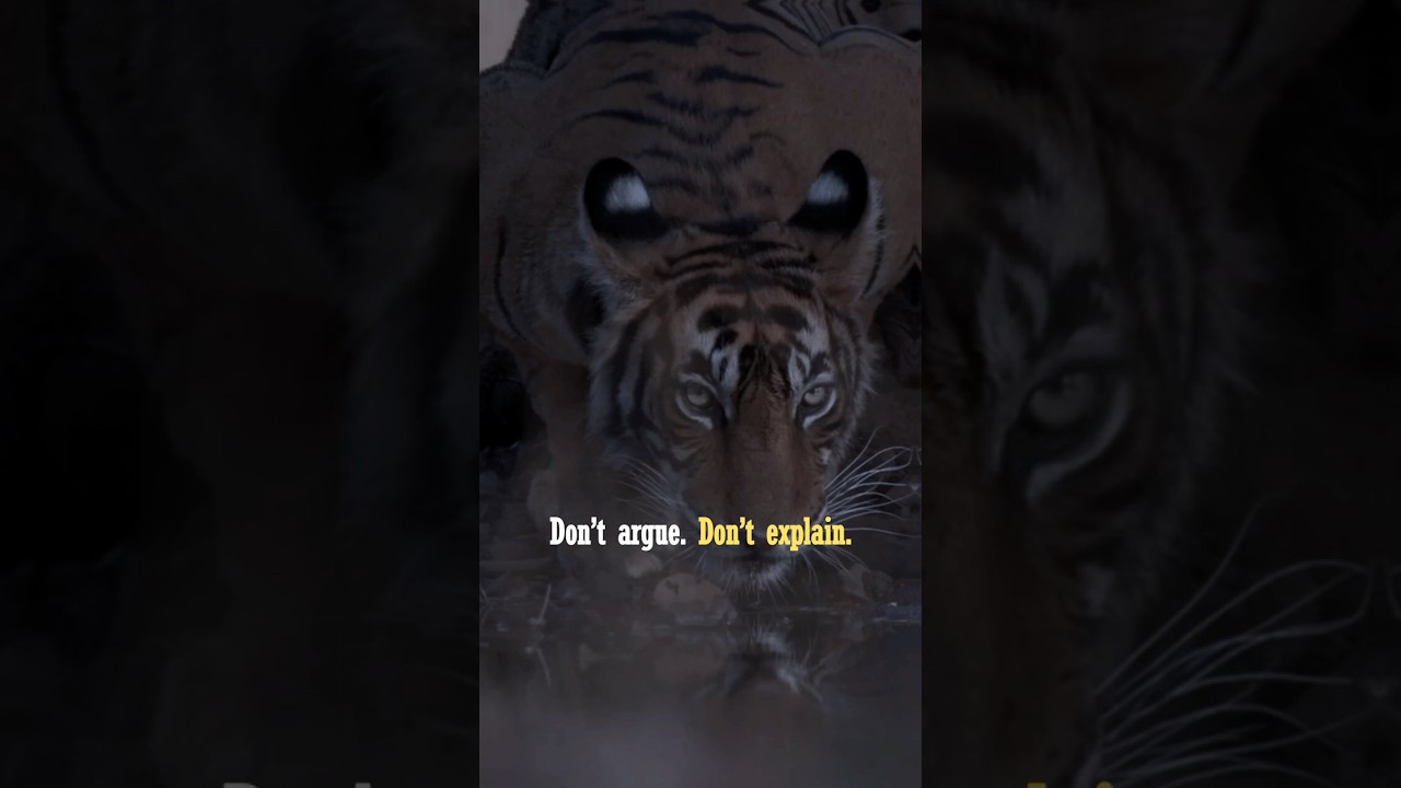 Sigma Rule🔥 the best revenge is massive success 🔥 