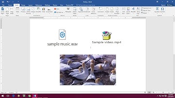 How to Insert Music & Video In MS Word (Word 2003 to 2016)