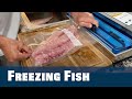 Freezing Fish For Maximum Freshness & Long Term Storage - Florida Sport Fishing TV PLUS