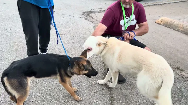 A2048986 Steph and A2048243 Casper temp test