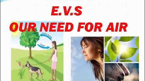 Class 3 | E.v.s | " Our Need For Air " | Question and Answer & Objectives | Easy Explanation.