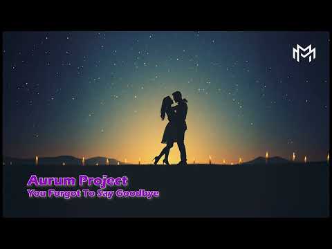 Aurum Project You Forgot To Say Goodbye