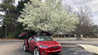 Day 1370 Tesla Ruby Spring Won't Be Held Back