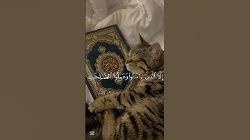 سورة العصر بصوت الشيخ محمد صديق المنشاوي #اكسبلور #قرآن #قران_كريم #محمد_صديق_المنشاوي #فلسطين #غزة