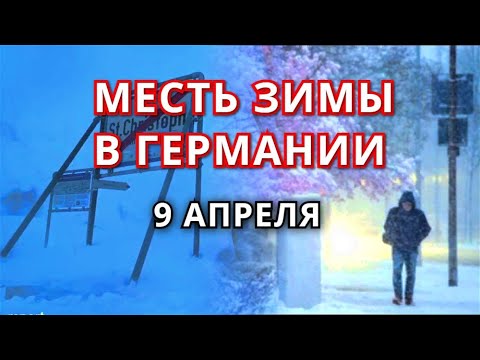 Video: Kedy zasadiť cesnak pred zimou na Urale v roku 2019