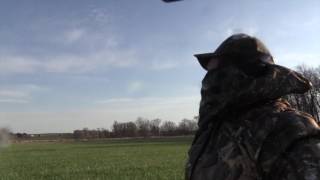 Best Ever Turkey Reaping Compilation