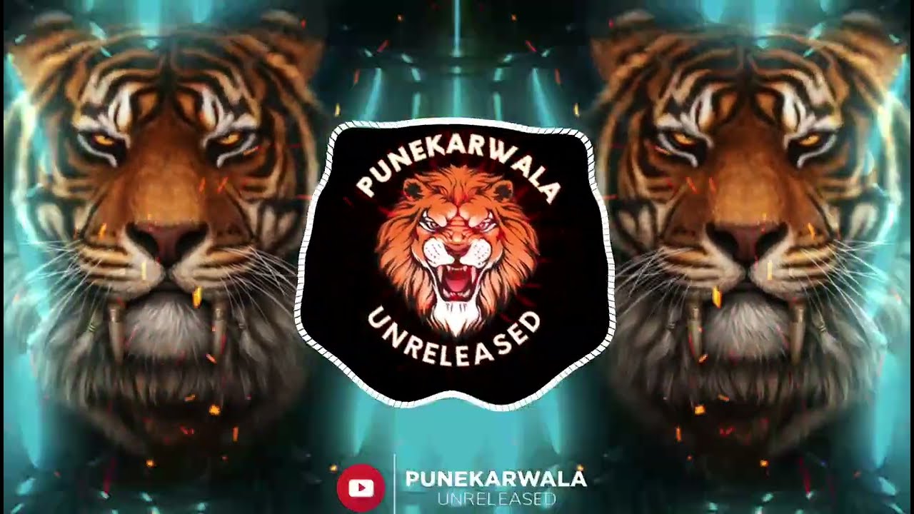 NAKABANDI || EDM MIX || ROADSHOW || DJ REMIX SONG || PUNEKARWALA UNRELEASED || 2025