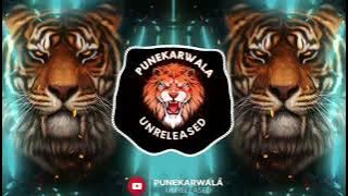 NAKABANDI || EDM MIX || ROADSHOW || DJ REMIX SONG || PUNEKARWALA UNRELEASED || 2025