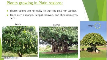 Class 4th Science Adaptation-How plants survive Part 2