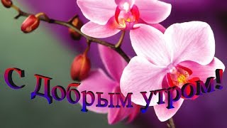 *** 🎶💗 С ДОБРЫМ УТРОМ !!! 🎶💗 *** ....