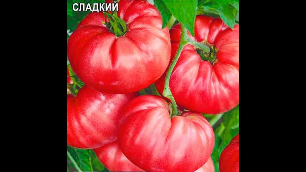 Самый лучший томат в мире 2023г.!Высокоурожайный и сладкий томат сорта ...