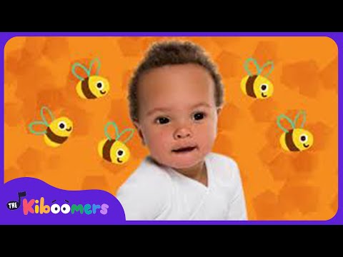 Here is the Beehive | Kids Song | Bee Song for Children | The Kiboomers Instructional Video