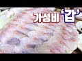 [ENGSUB] 돔보다 맛있는 '가성비 갑' 생선은? (제주 동문시장에서 사먹는 생선회 한상)