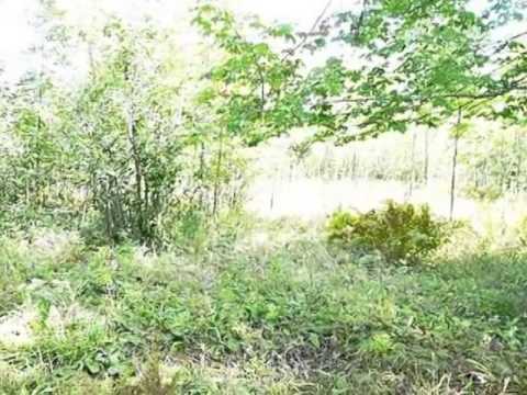 961 Isackson Rd, Two Harbors, MN home video tour