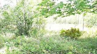 Homes for Sale - 961 Isackson Rd Two Harbors MN 55616 - Ruth Rabold