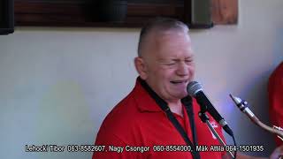 010 Melódia Band Harmónika Halkan Szól