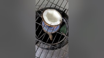 How To Remove Coconut Shell Easily 🥥 #shorts #viralhacks #trending #youtubeshorts