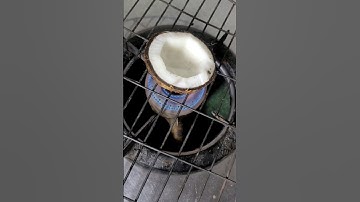 How To Remove Coconut Shell Easily 🥥 #shorts #viralhacks #trending #youtubeshorts