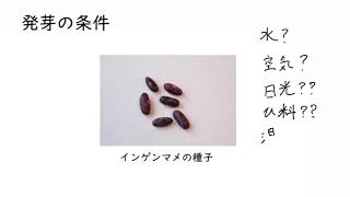 1. 発芽の条件(サムネイル画像)