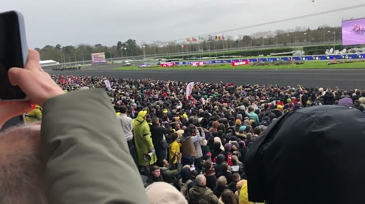 Prix d'Amérique 2025 - Inside dans les tribunes de Vincennes
