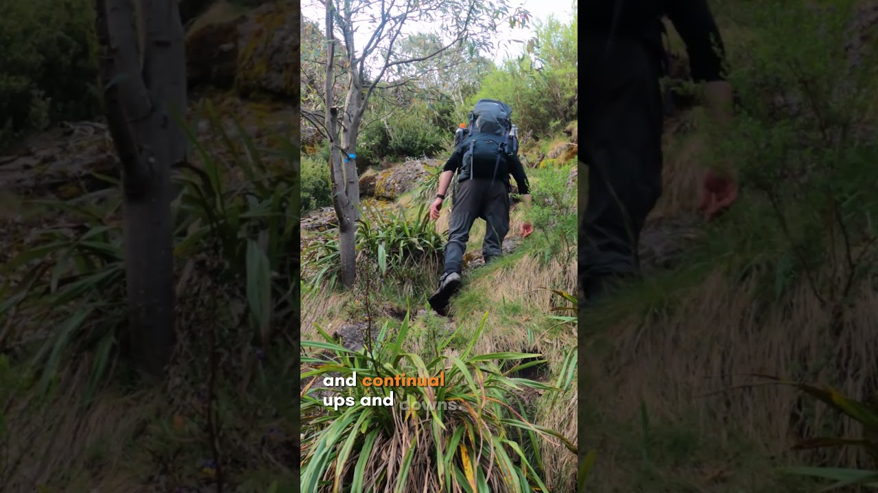 Can You Take On 'Victoria's Hardest Hike'? - The Viking