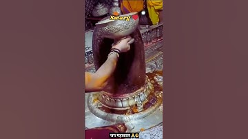 mahakal sarkar status 💫🩷 Mahadev Status 💫💚 Bholenath Status 💫💙#shiv #trending #shorts #Mahakal